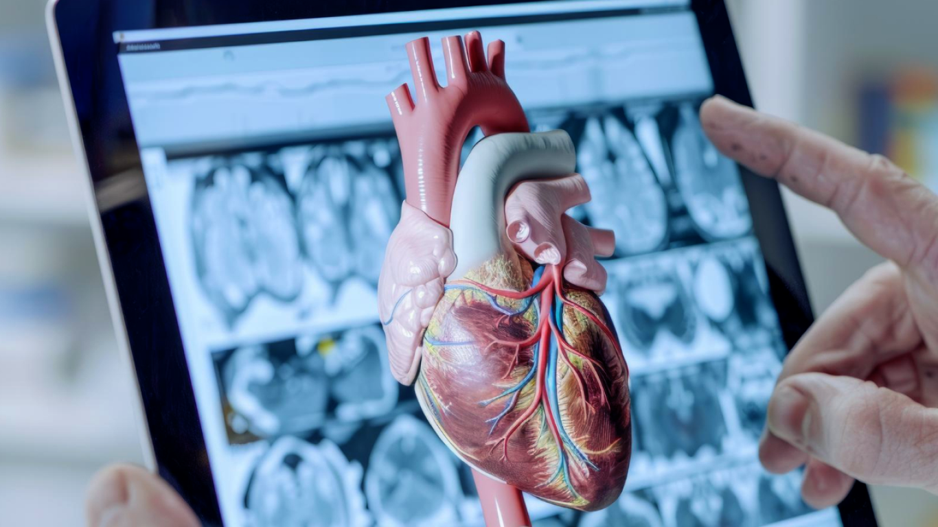 Médico mostrando um coração no computador para um paciente, para explicar sobre valvulopatias