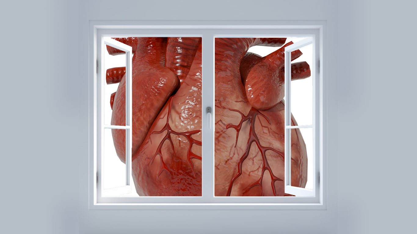 Coração humano, para falar sobre o ecocardiograma transtorácico